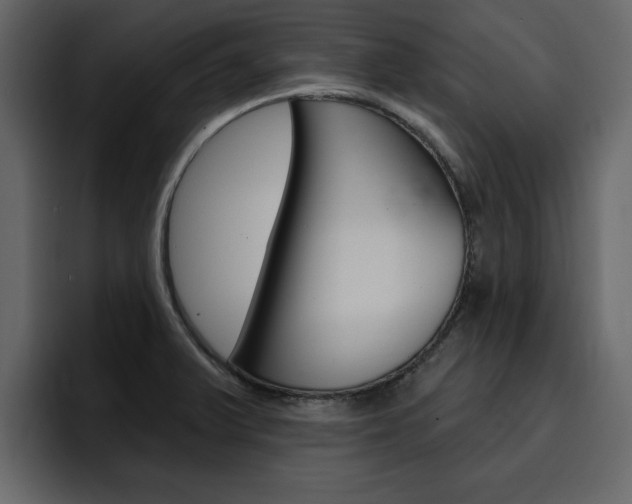 X0000095551375200712140927