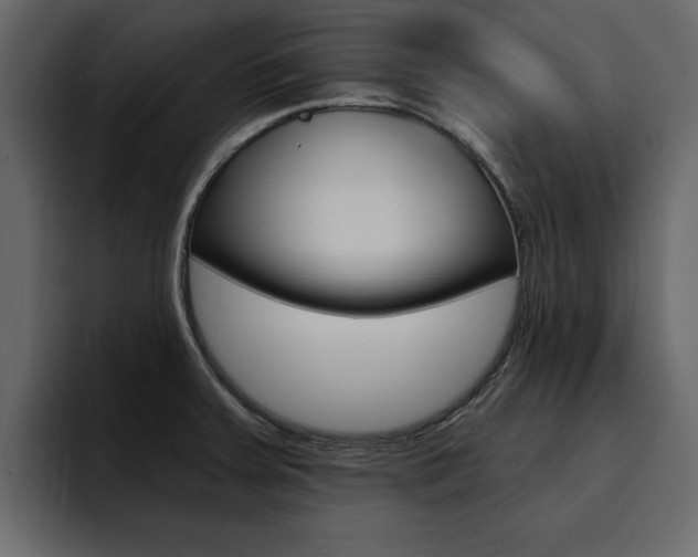 X0000095551379200712140927