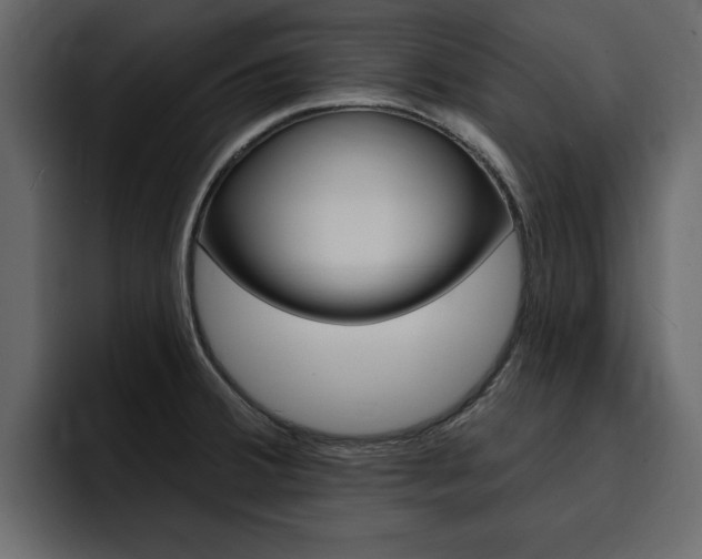 X0000095551380200712140927