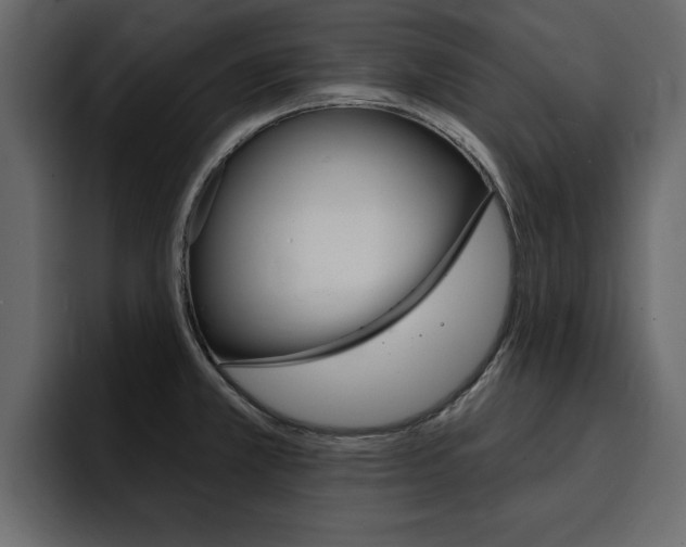 X0000095551381200712140927