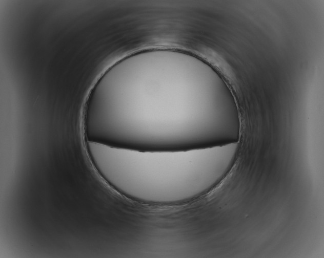 X0000095551382200712140927