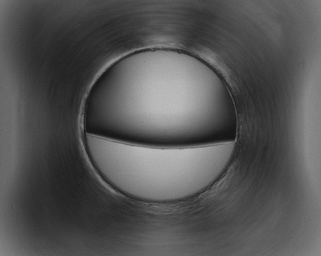 X0000095551383200712140927