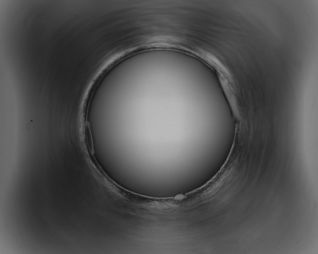 X0000095551384200712140927