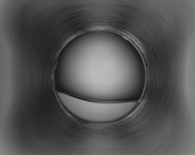 X0000095551385200712140927