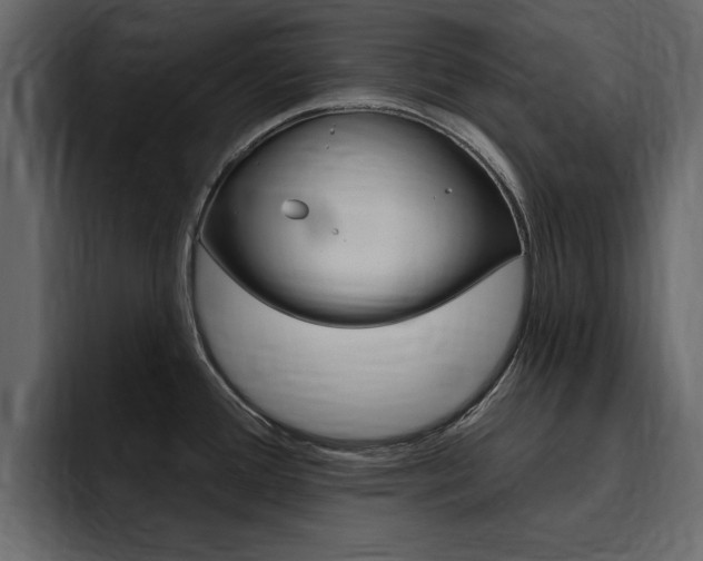 X0000095551388200712140926