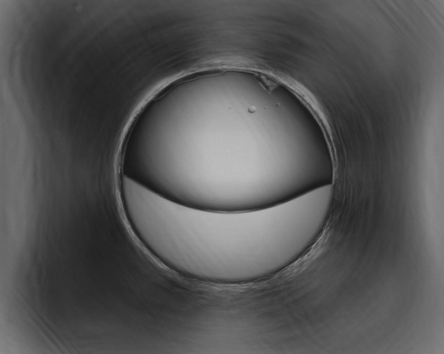 X0000095551389200712140926