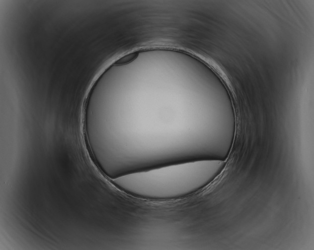 X0000095551390200712140926