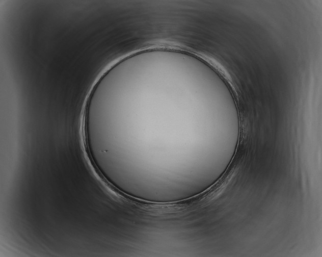X0000095551391200712140926