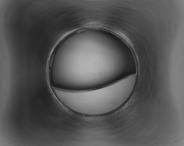 X0000095551392200712140926
