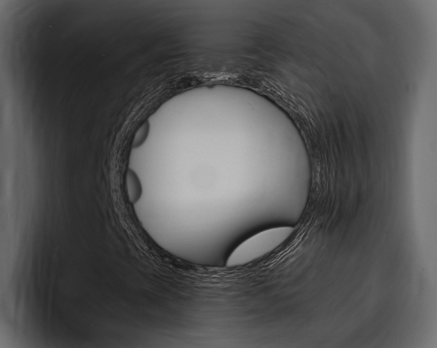 X0000095551393200712140926