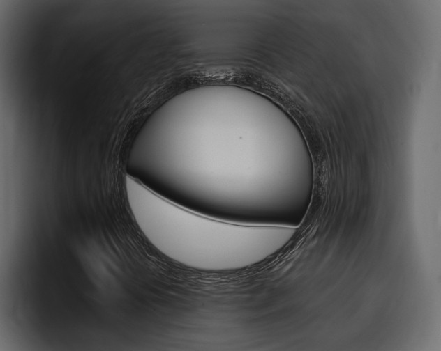 X0000095551394200712140926