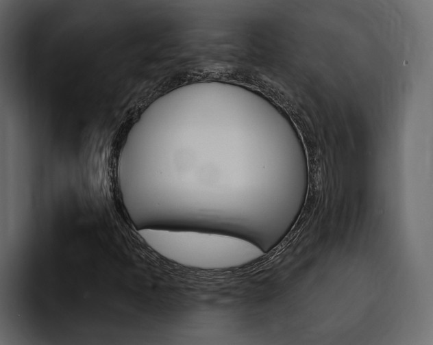 X0000095551397200712140926