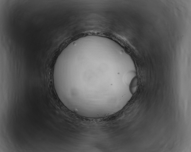 X0000095551399200712140926