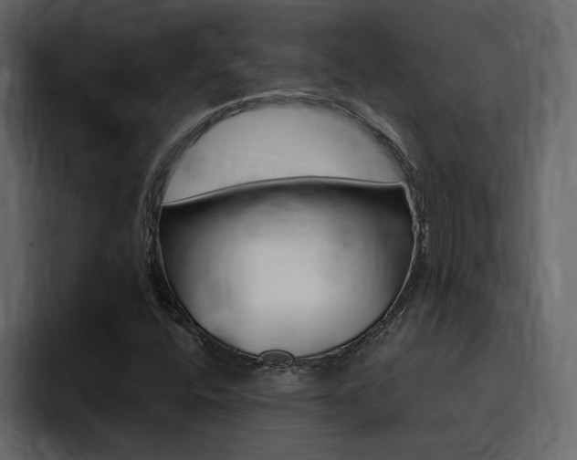 X0000095551400200712140926