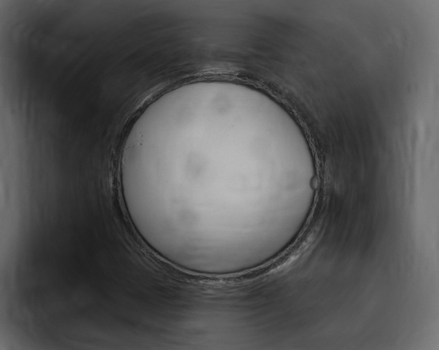 X0000095551401200712140926