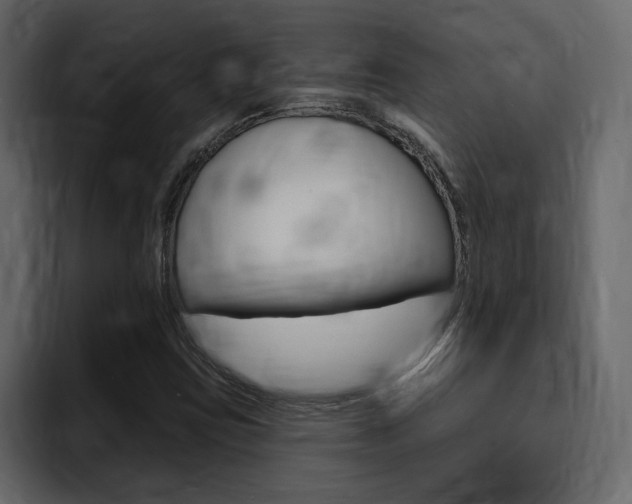 X0000095551403200712140926