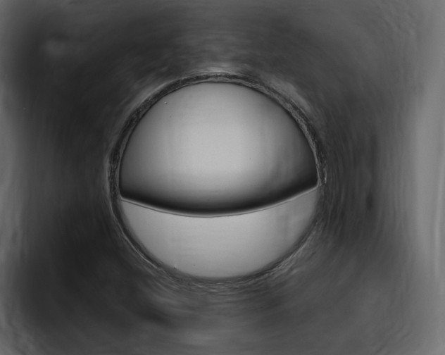 X0000095551404200712140926