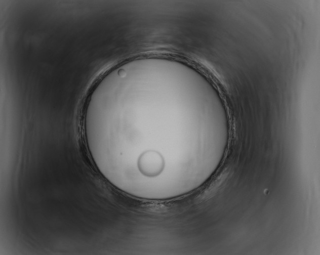 X0000095551405200712140926