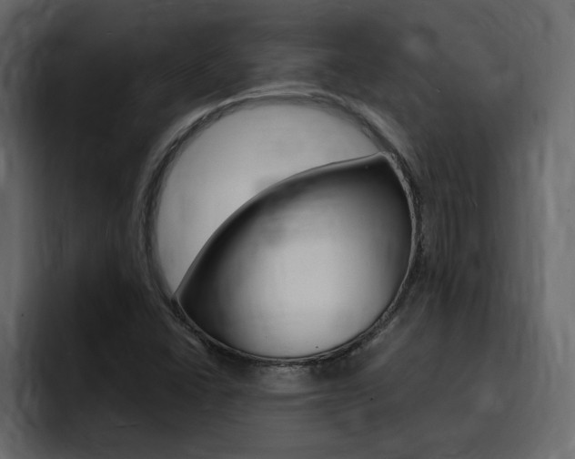 X0000095551406200712140926