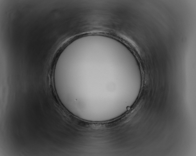 X0000095551407200712140926