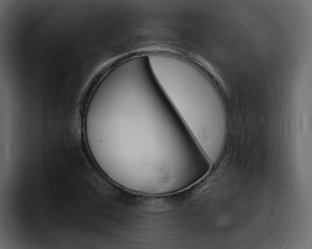X0000095551408200712140926