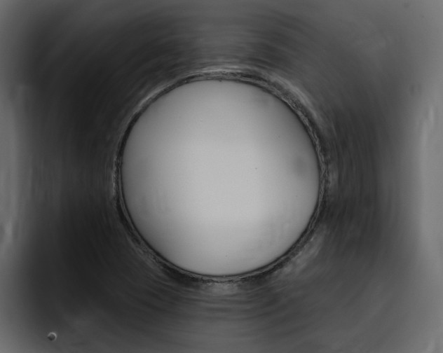 X0000095551409200712140926