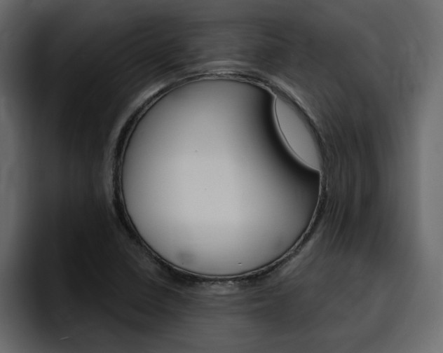 X0000095551410200712140926