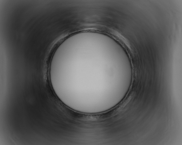 X0000095551411200712140926