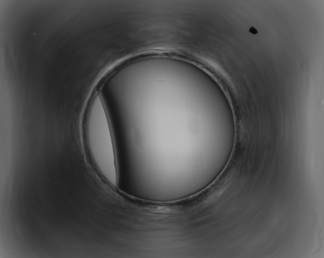 X0000095551412200712140926