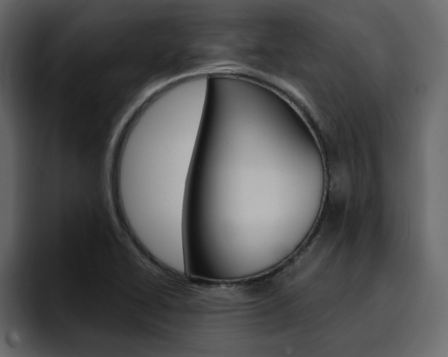 X0000095551414200712140926