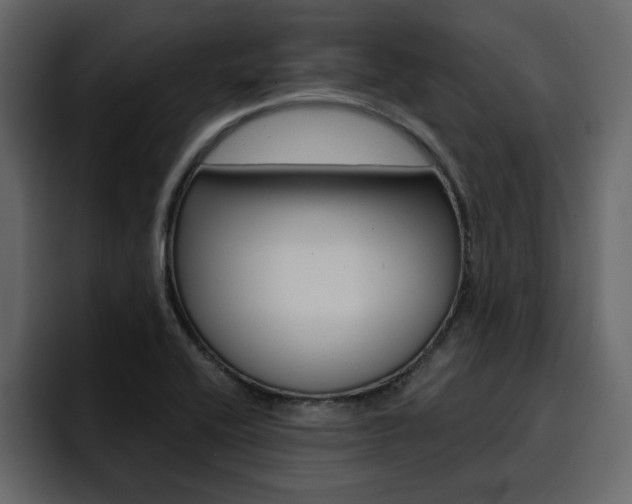 X0000095551416200712140926