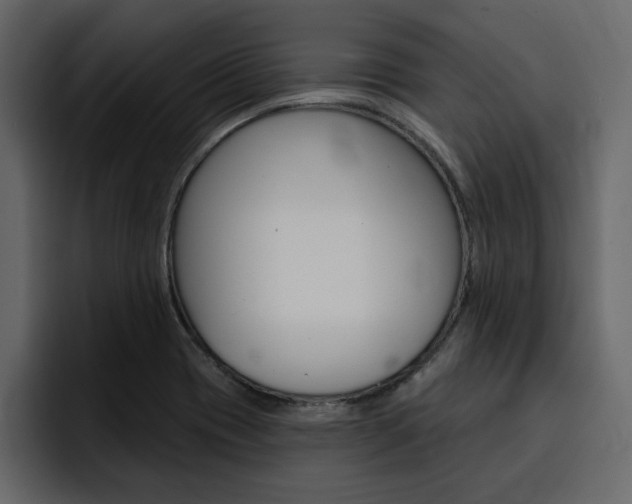X0000095551417200712140926