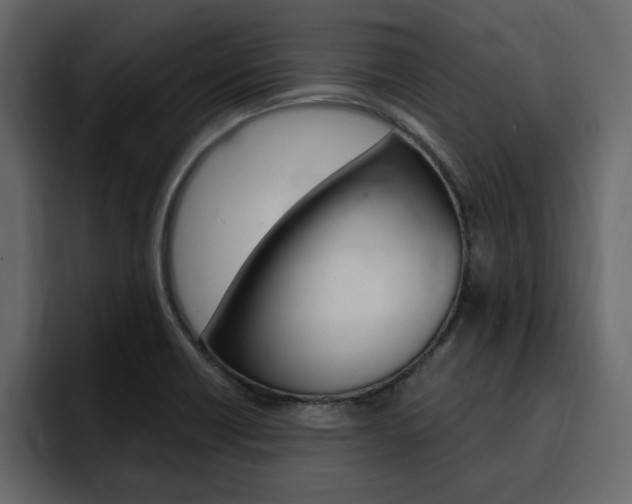 X0000095551418200712140926