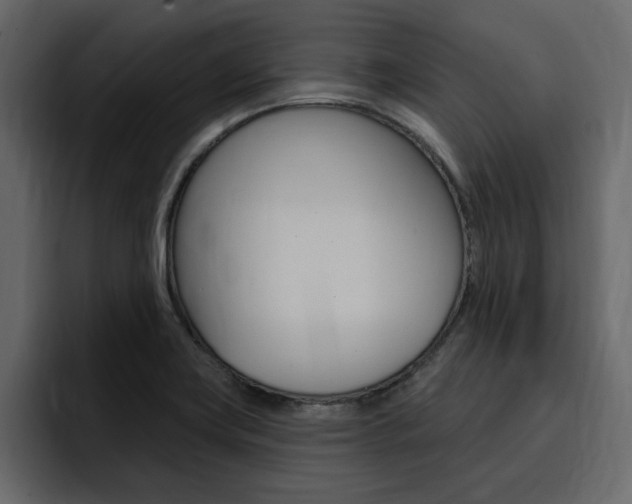 X0000095551419200712140926