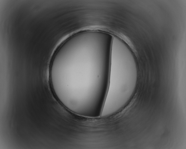 X0000095551420200712140926