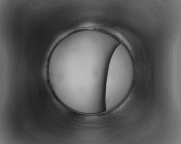X0000095551421200712140926