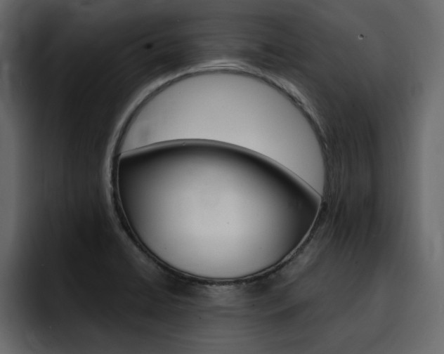 X0000095551422200712140926