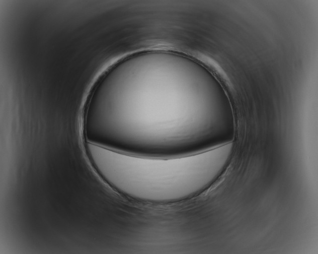 X0000095551424200712140926