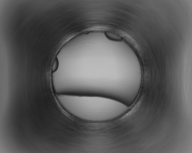 X0000095551425200712140926