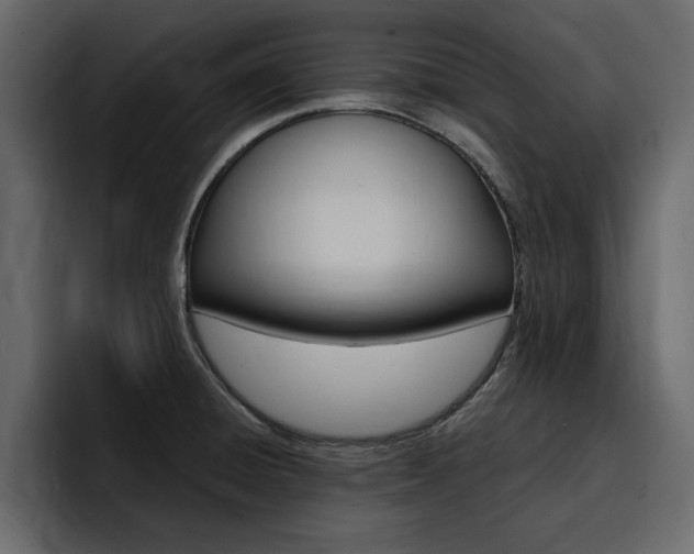 X0000095551428200712140926