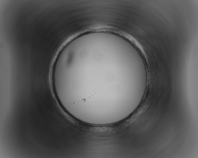 X0000095551429200712140926
