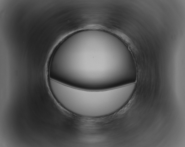 X0000095551430200712140926