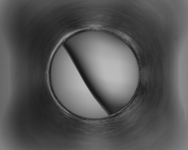 X0000095551432200712140926