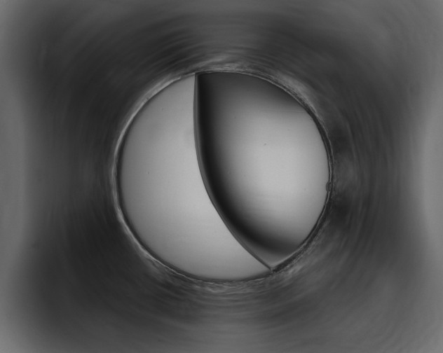 X0000095551434200712140926
