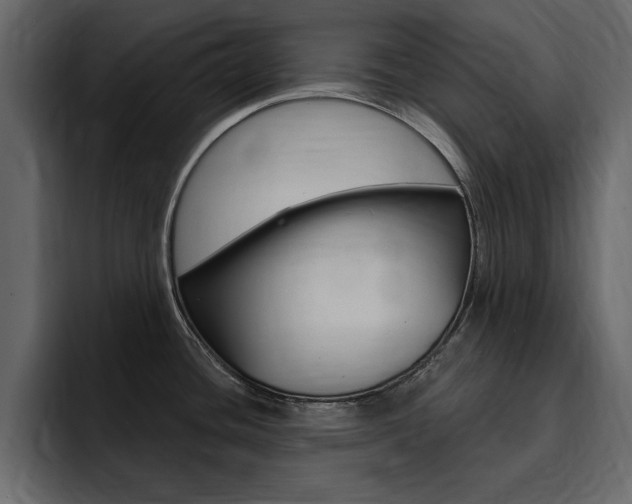 X0000095551436200712140926