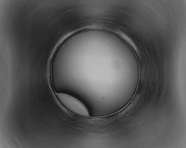 X0000095551437200712140926
