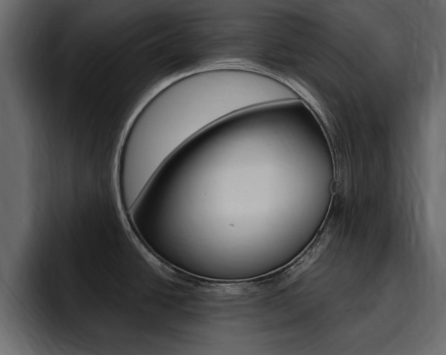 X0000095551438200712140926