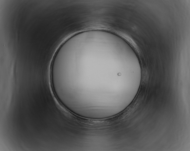 X0000095551439200712140926