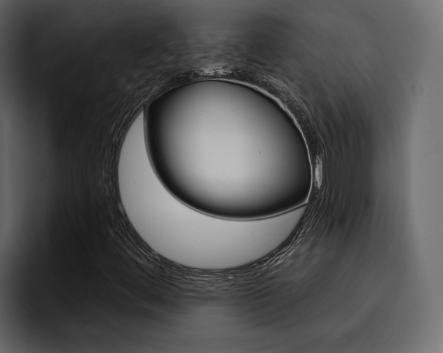X0000095551444200712140926