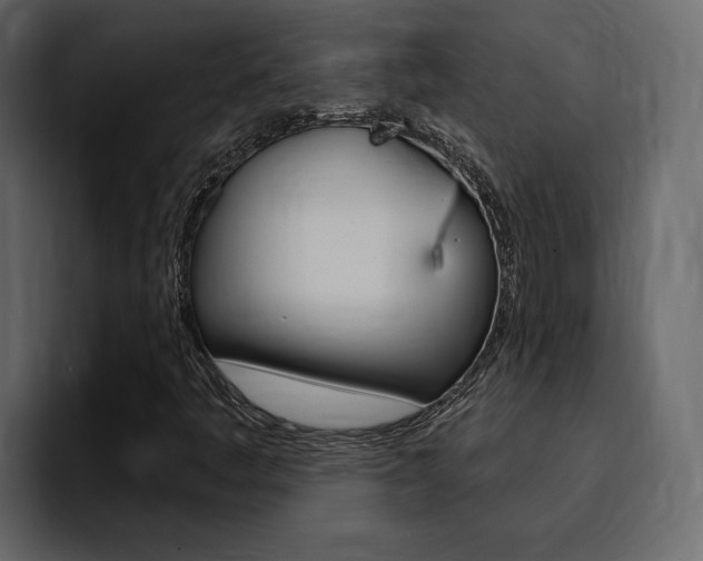 X0000095551445200712140926